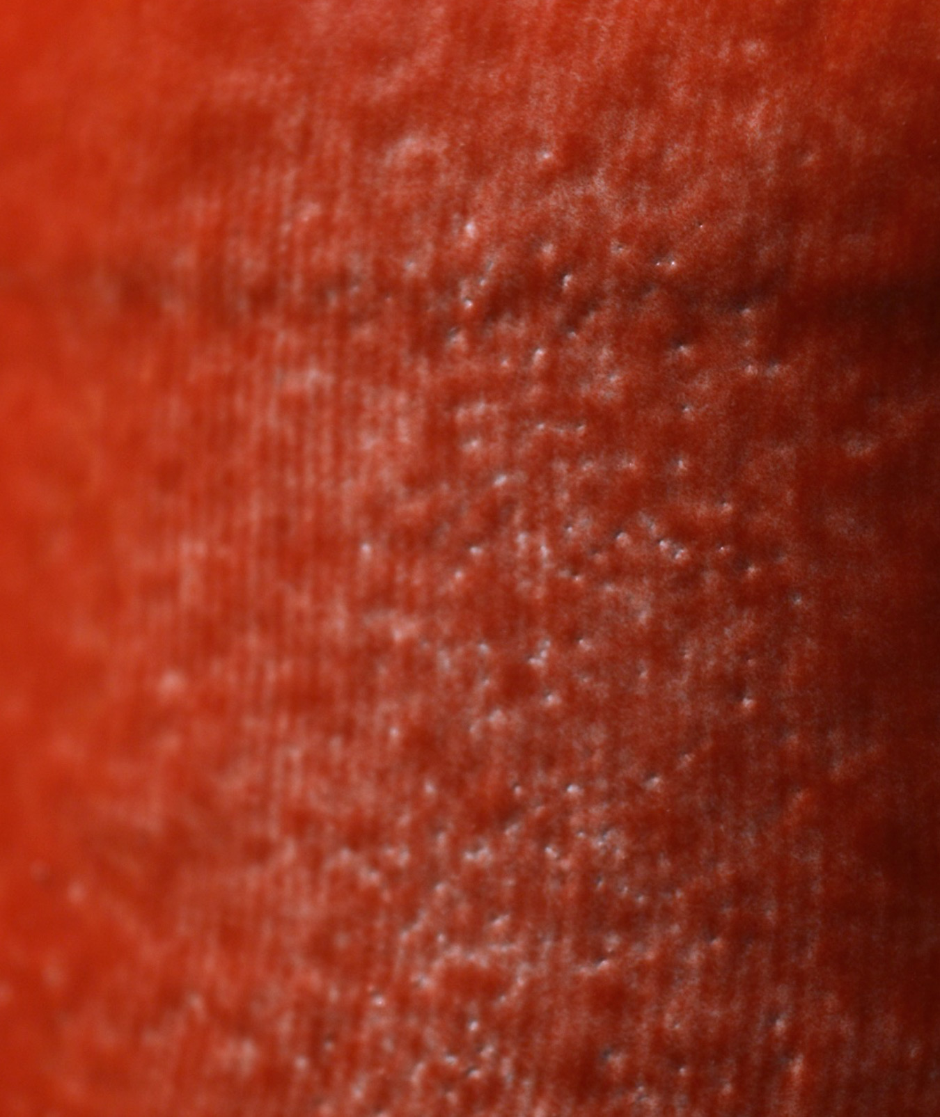 Bottiglia acqua 8/19